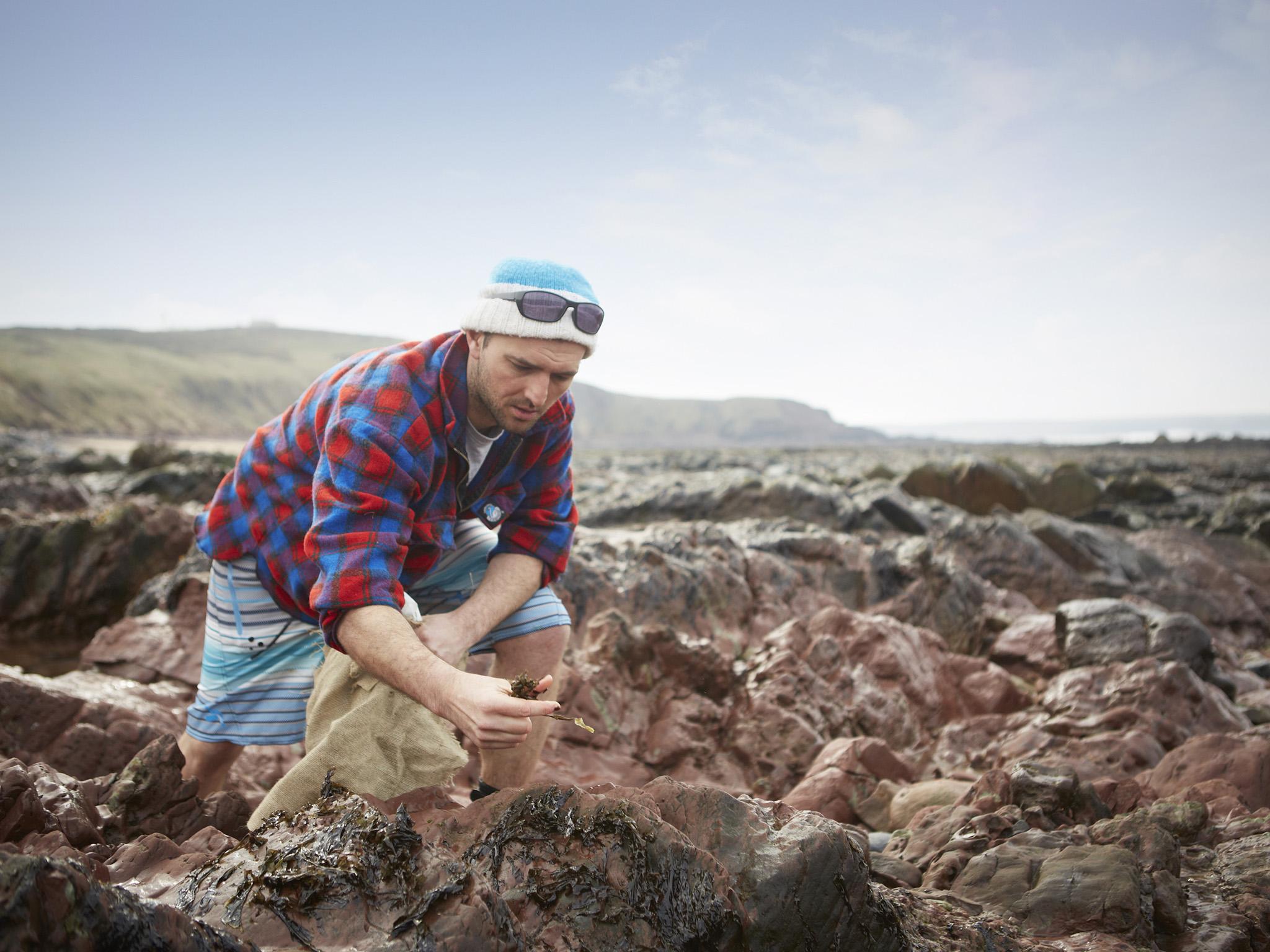 Jonathan has been harvesting seaweed in Wales for more than five years (Pembrokshire Food Company)