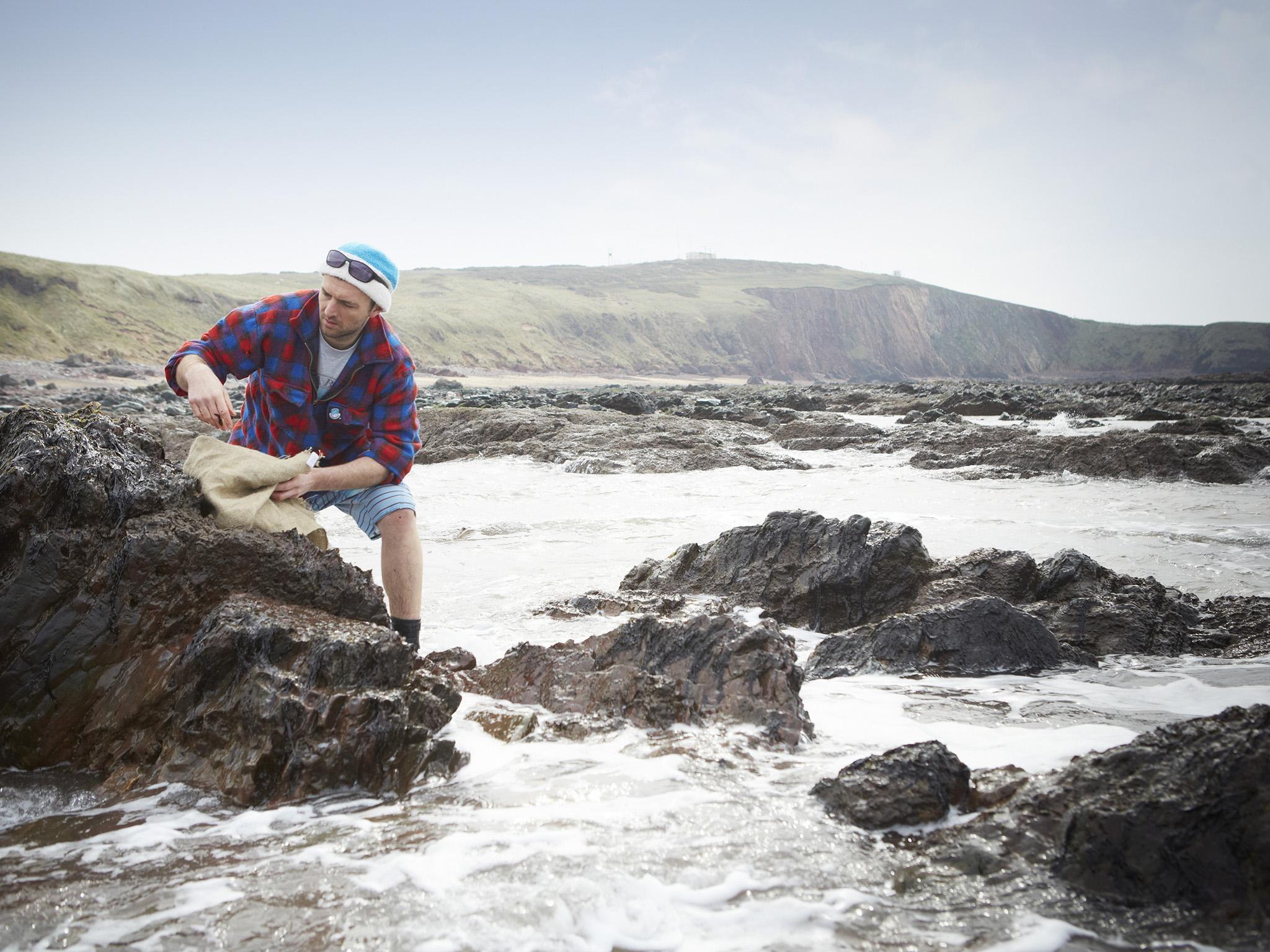 Jonathan Williams gave up his day job and launched a street-food business with seaweed as the main attraction