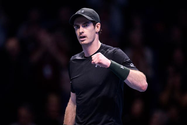 Andy Murray admits facing Novak Djokovic in the ATP World Tour Finals would be 'perfect'