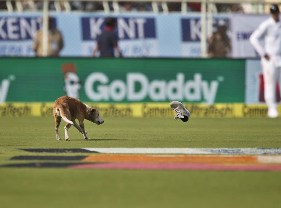 India vs England: Virat Kohli and Cheteshwar Pujara ...