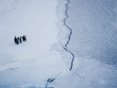 Global sea ice shrinking at unprecedented speeds, warns scientist