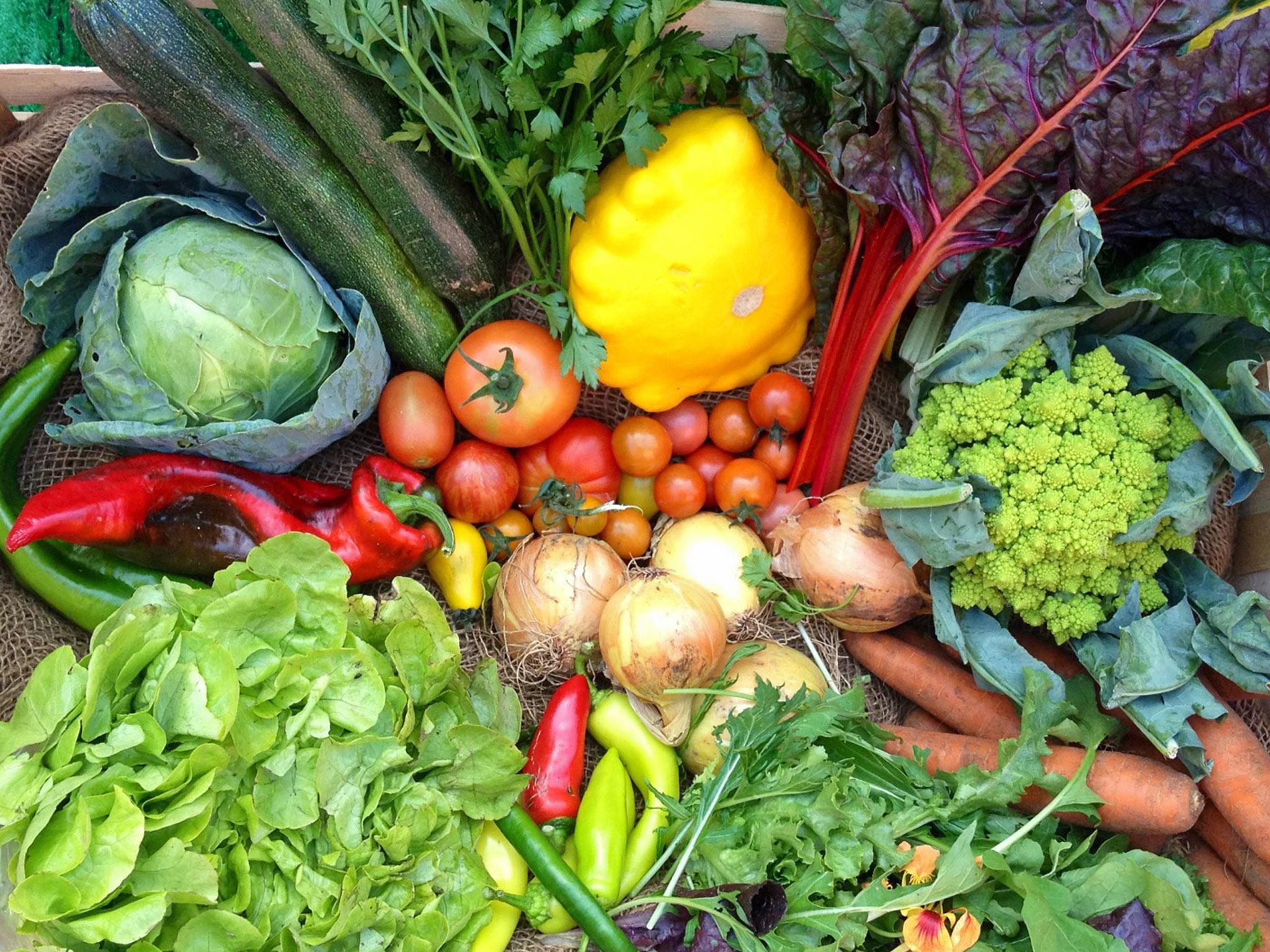 7 Best Vegetable Boxes The Independent 7 best vegetable boxes the independent