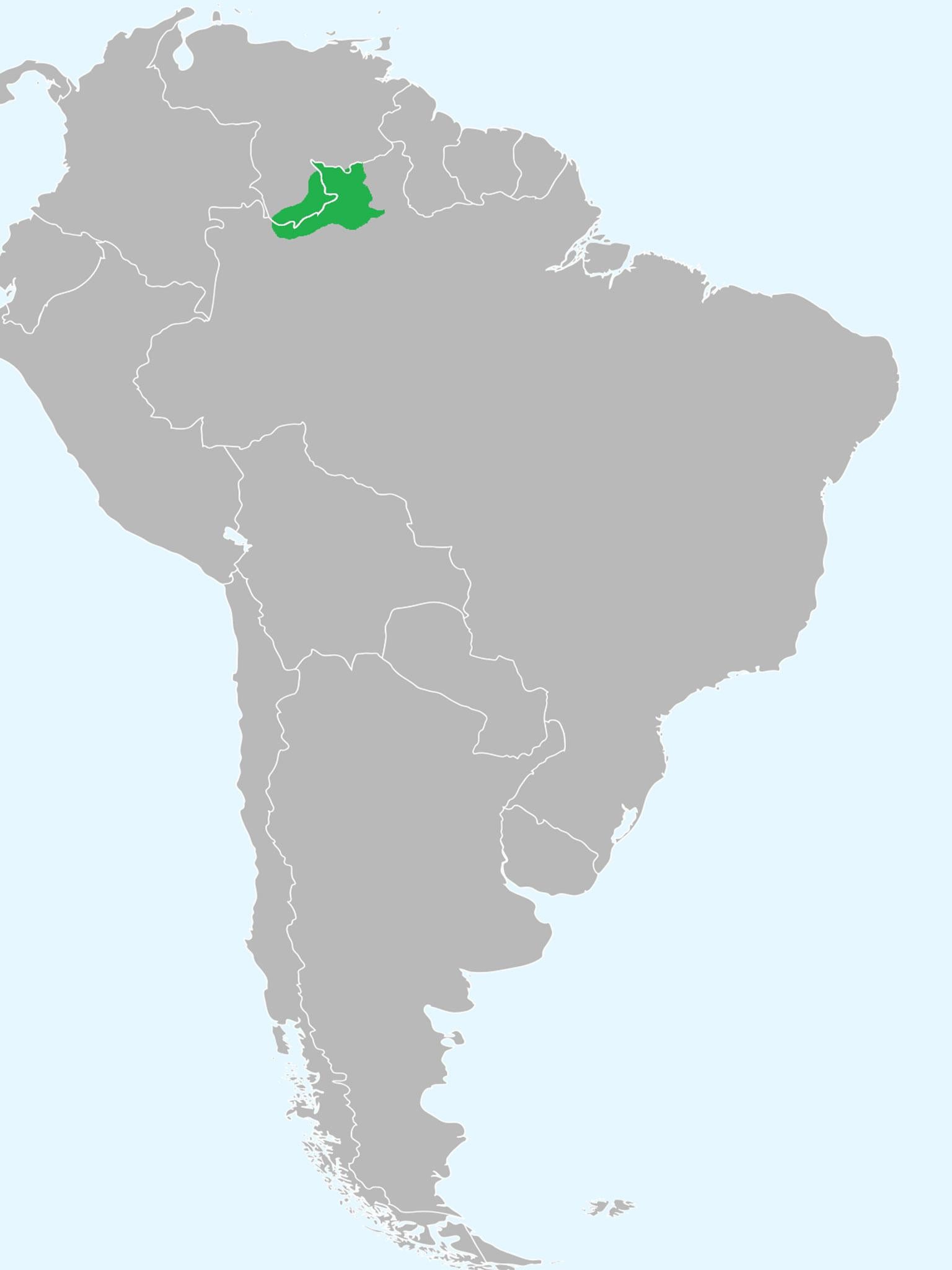 A map showing indigenous Yanomami territory in northern Brazil and southern Venezuela
