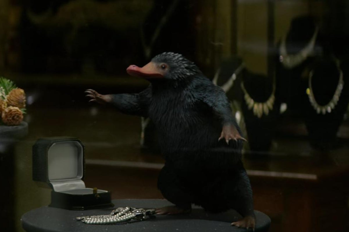 Fantastic Beasts and Where to Find Them: The Niffler is basically real ...