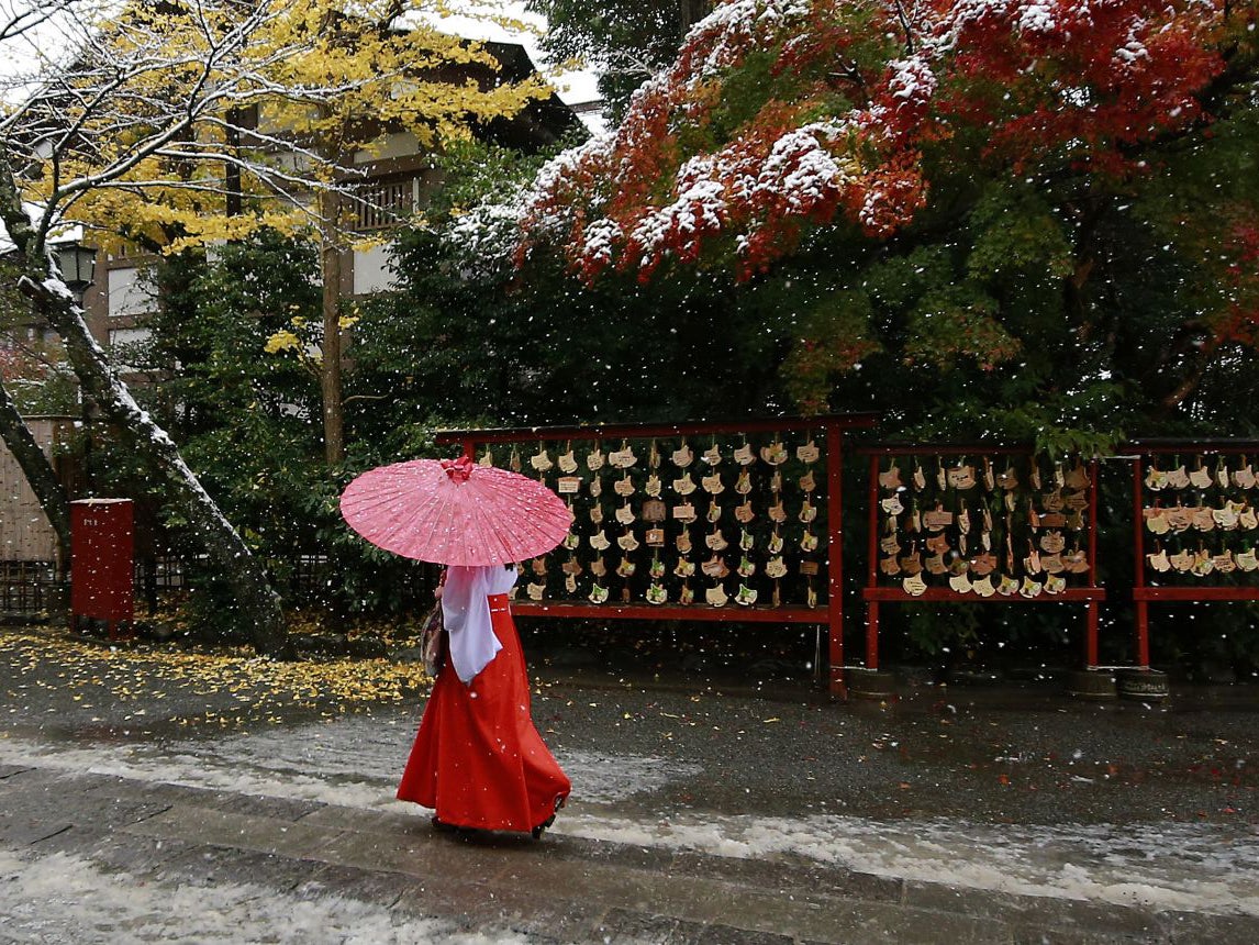 A shrine maiden walks in the snow at the Tsurugaoka Hachimangu Shrine in Kamakura, near Tokyo