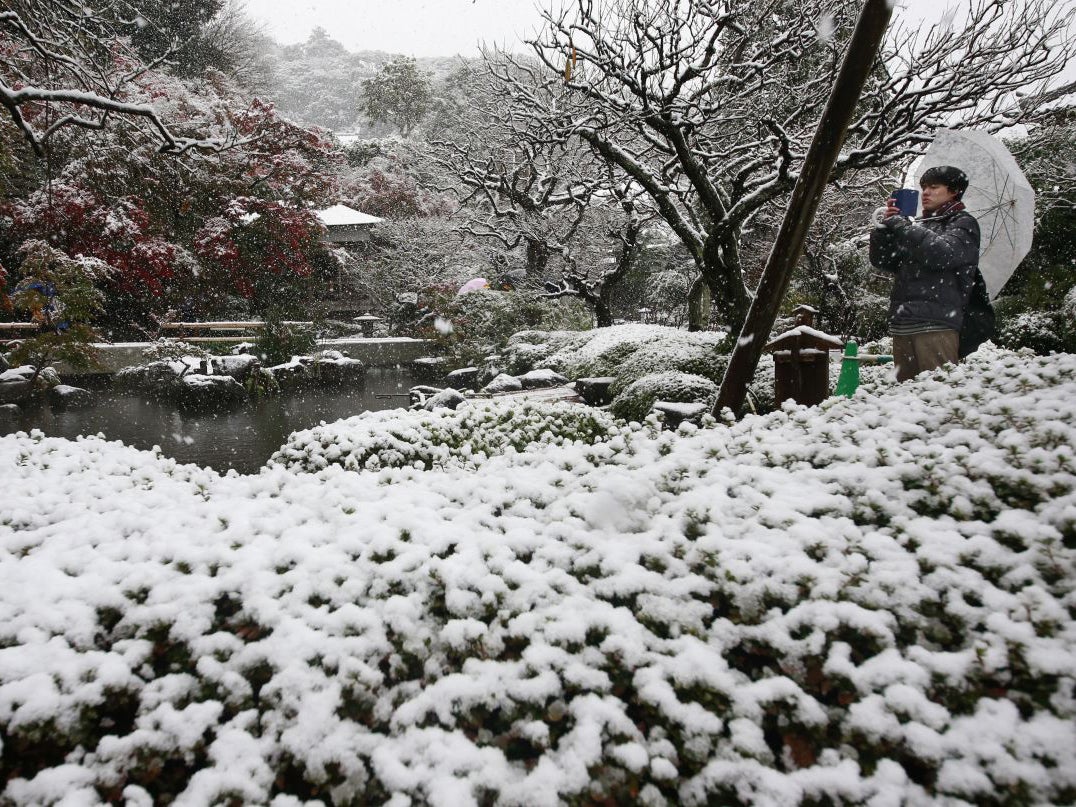 A visitor takes a photo in the snow at the Hase temple in Kamakura, near Tokyo