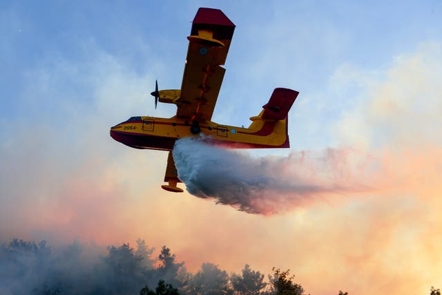 Eight countries, including Russia, sent firefighter planes to help combat the wildfires