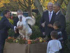 Obama’s last turkey pardon proves he has not lost his sense of humour