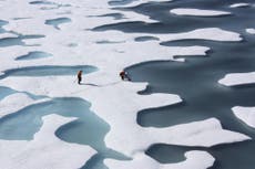 Melting sea ice could start uncontrollable global climate change