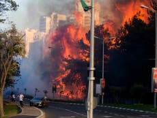 Al-Qaeda affiliate claims responsibility for devastating Israel fires