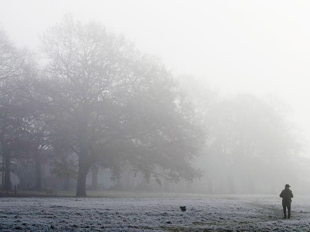 A man walks his dog through the fog in a Park in Knutsford, Cheshire