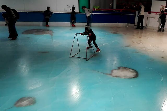 People skating on an ice rink with 5,000 frozen dead fish inside at the Space World amusement park in Kitakyushu