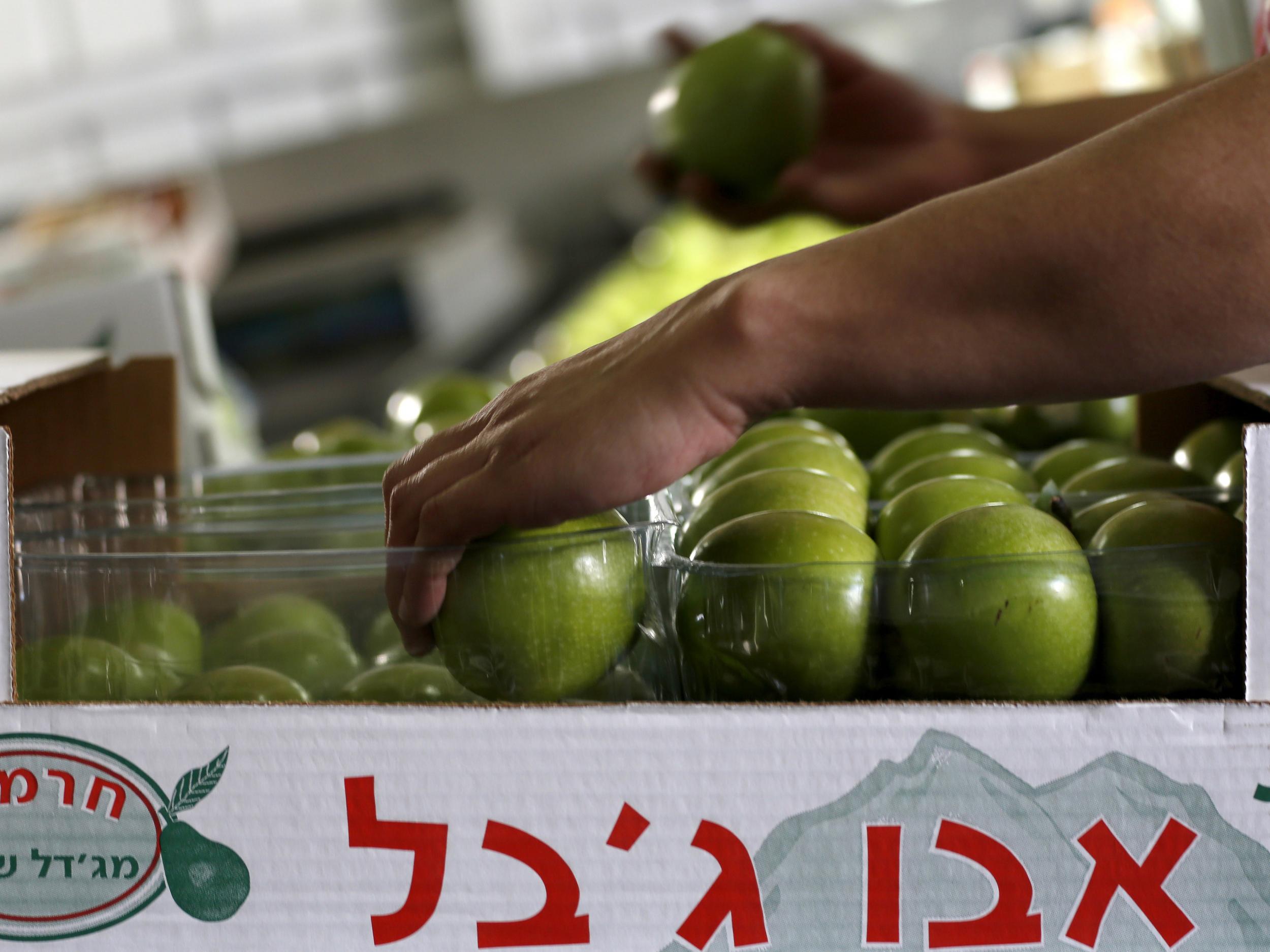 Workers pack apples at a factory in the Israeli Occupied Golan Heights