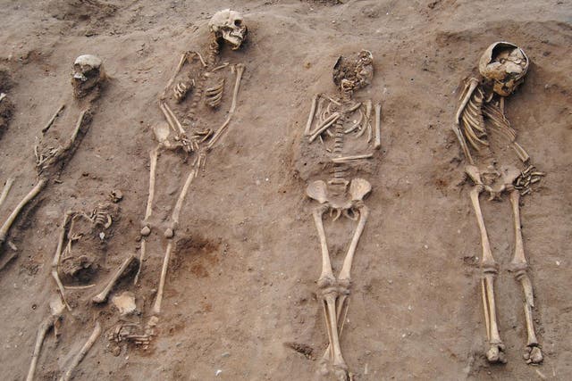The mass burial, where more than half of the skeletons are children, was uncovered at the site of a 14th century monastery hospital