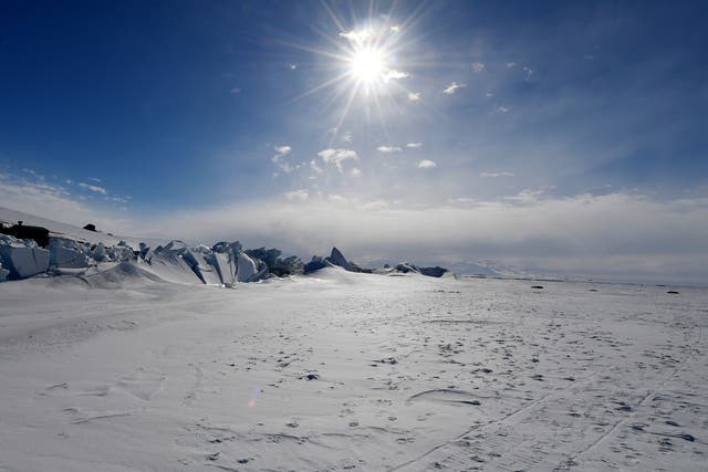 The Antarctic Peninsula is among the most rapidly warming areas of the planet
