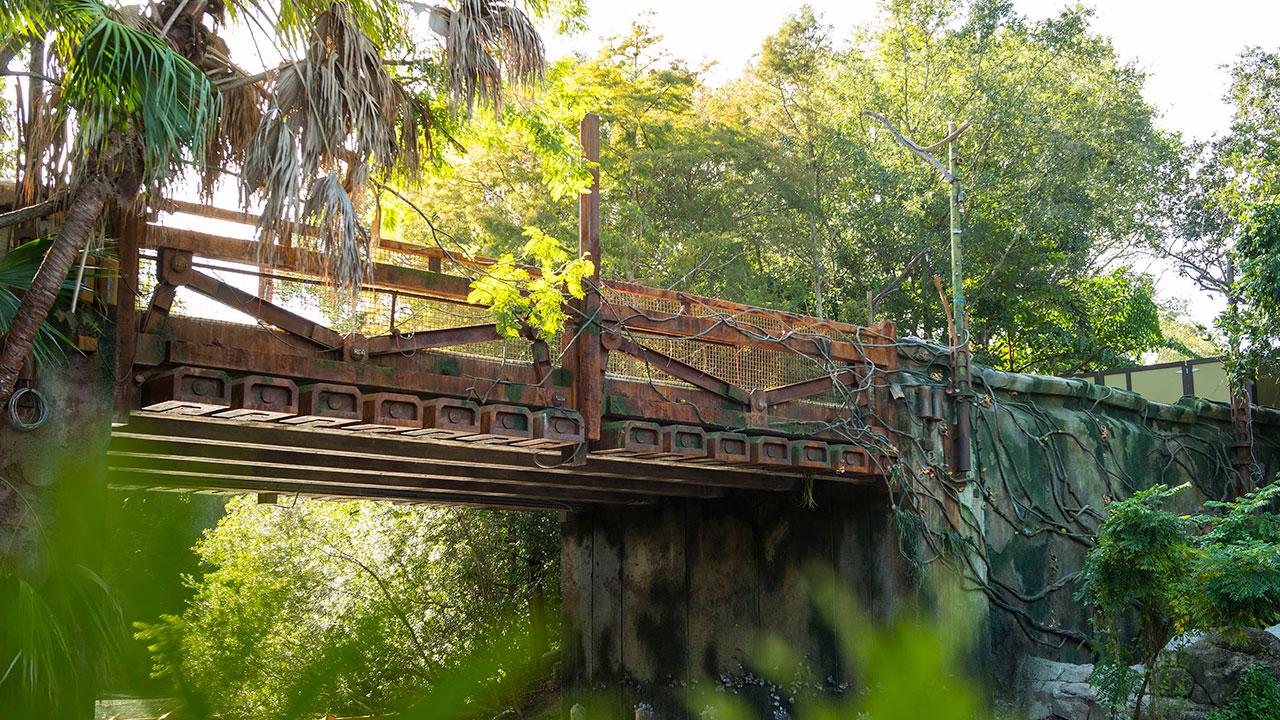 The bridge connects Pandora to the rest of the park