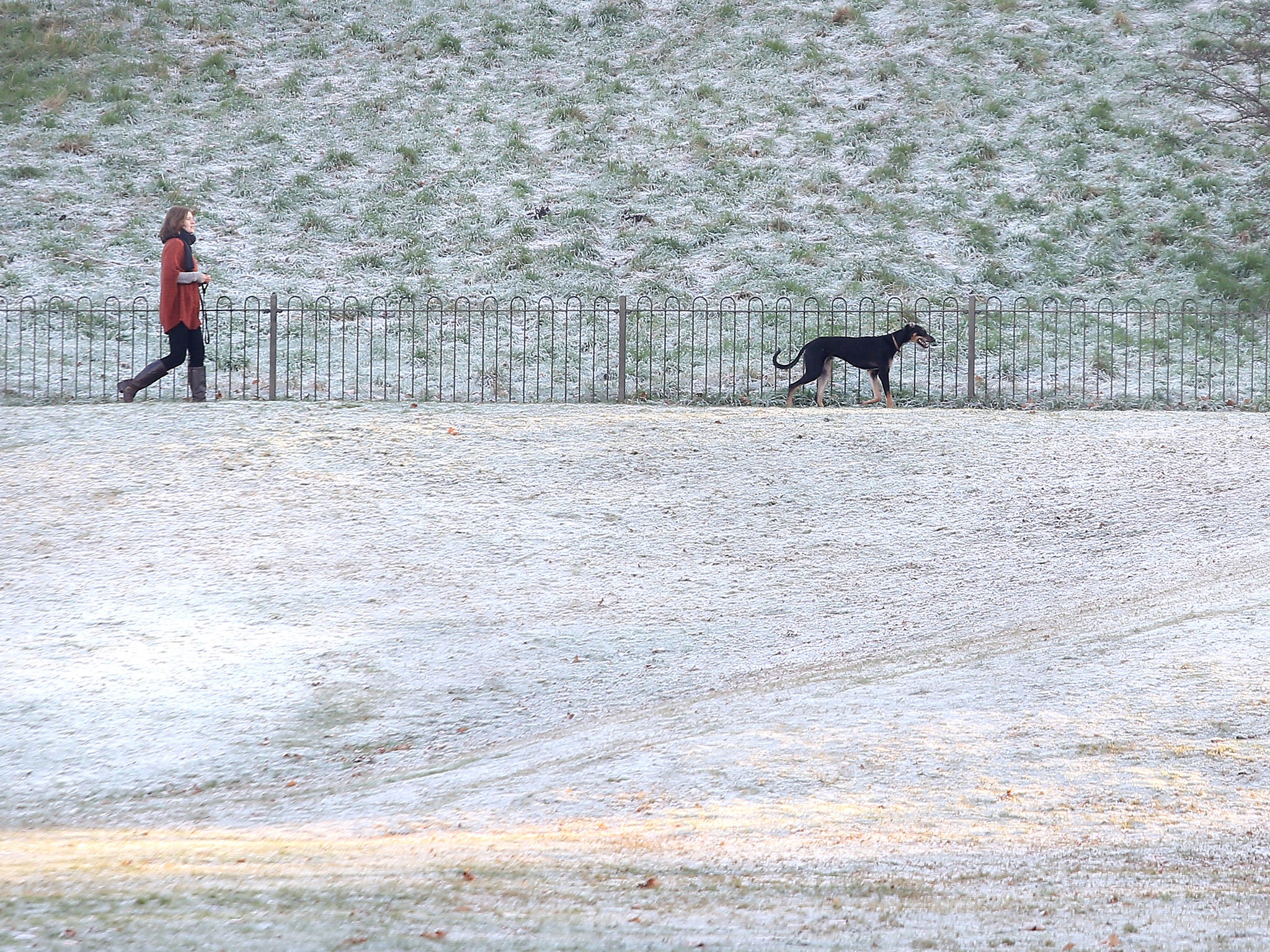 A woman walking her dog in Greenwich Park, south-east London. England and Wales has been in the grip of an icy frost caused by a polar vortex which has spread down from the Arctic