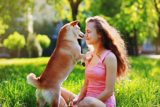 The wider bond between people and dogs has strengthened over time, around 30,000 years to be precise