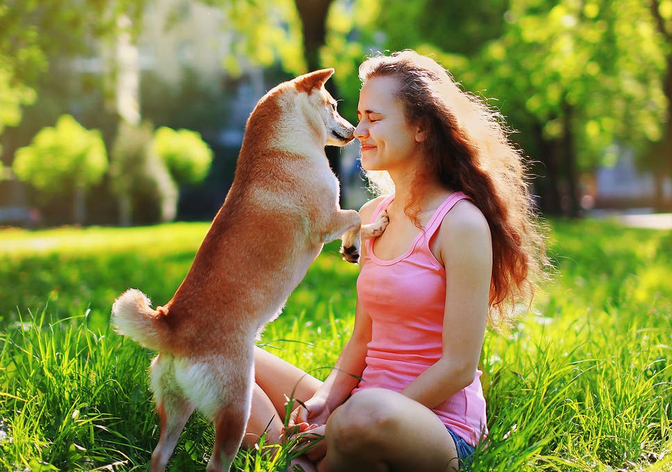 Why the relationship between owners and pets is always an ...