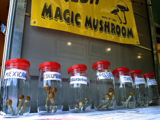 Magic mushrooms on sale in London