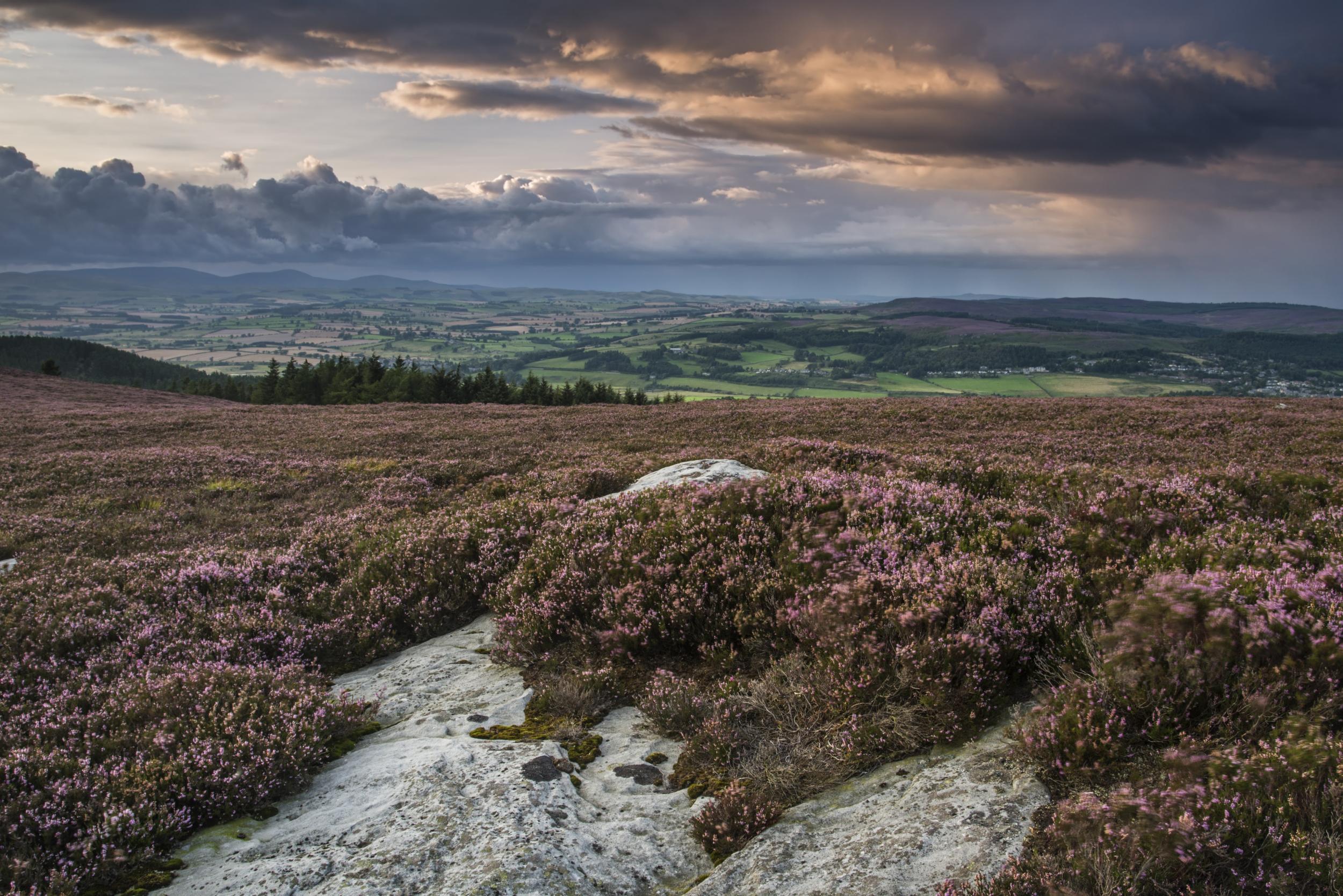 Serene landscapes dominate the view towards Rothbury