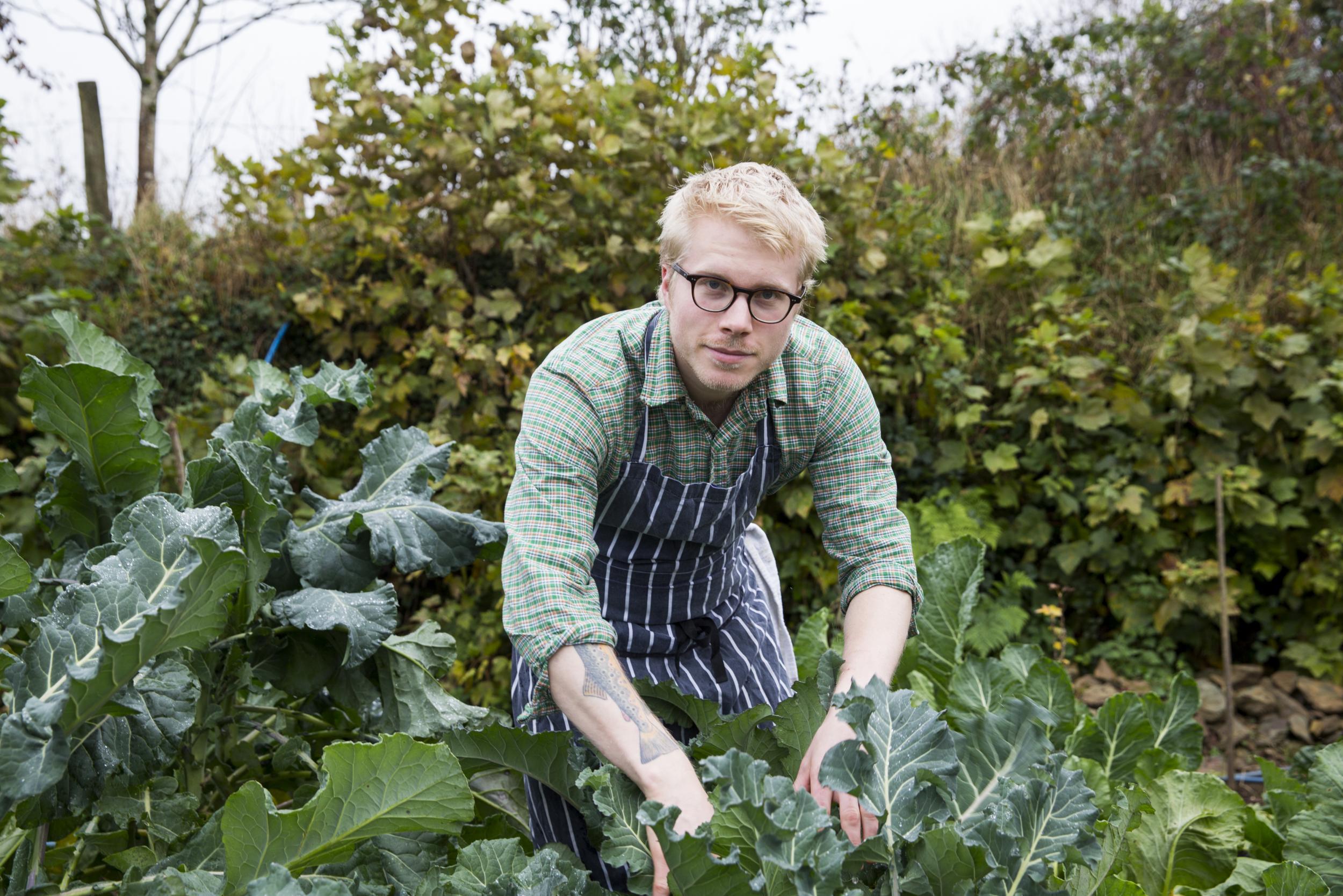 Chef Tom Adams picking his homegrown produce