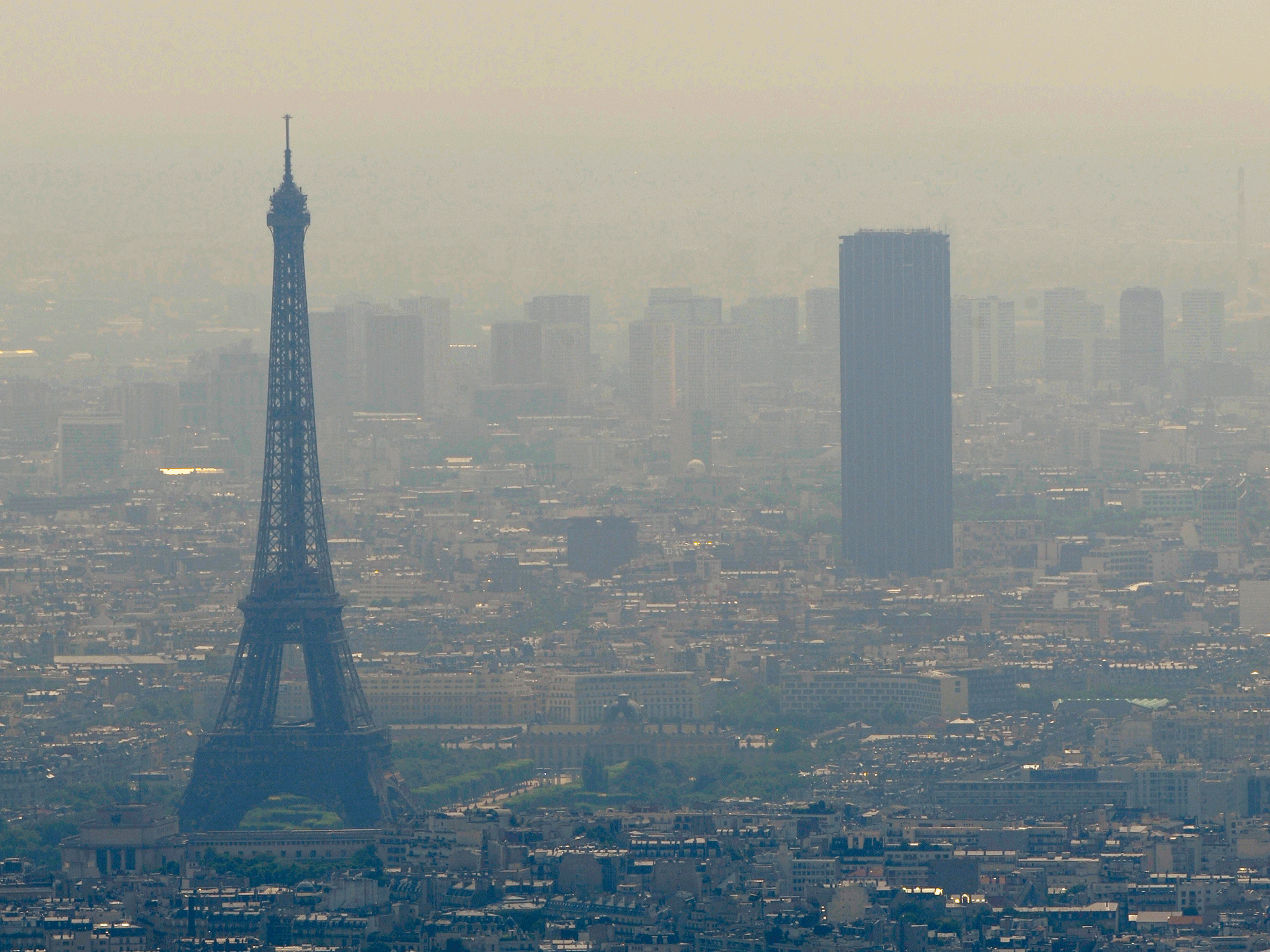 The mayors of Paris, Mexico City, Madrid and Athens have promised to ban the fuel
