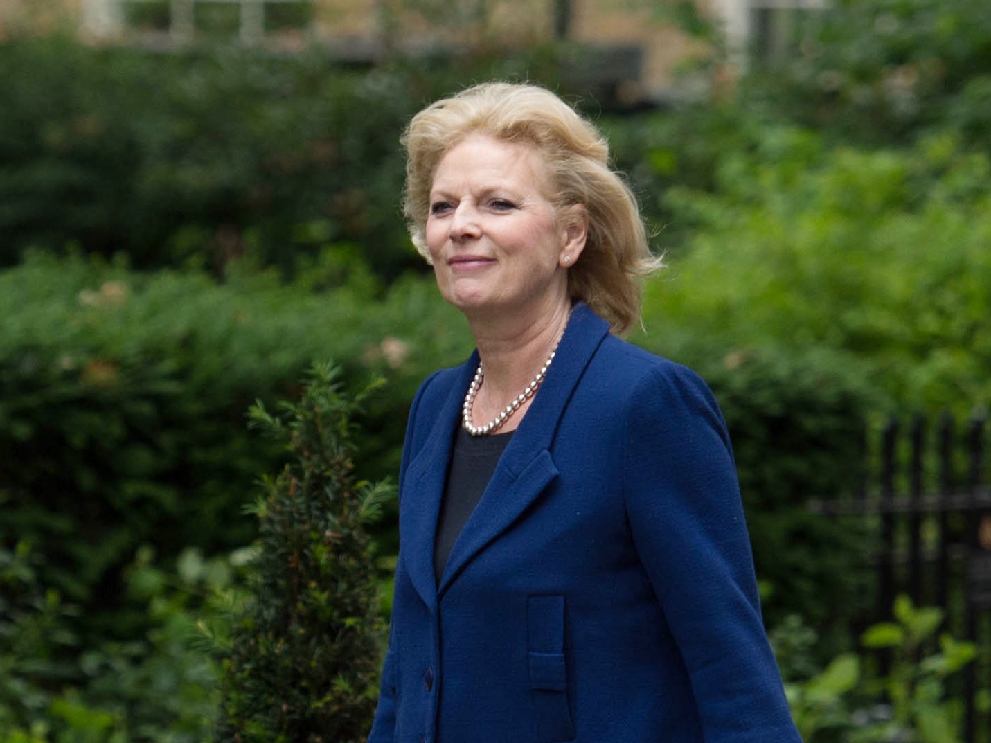 Anna Soubry, the MP for Broxtowe in Nottinghamshire, who was the apparent target of an online message which read: 'someone jo cox Anna sourby please'