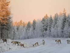 Five things to do in Lapland when there's no snow
