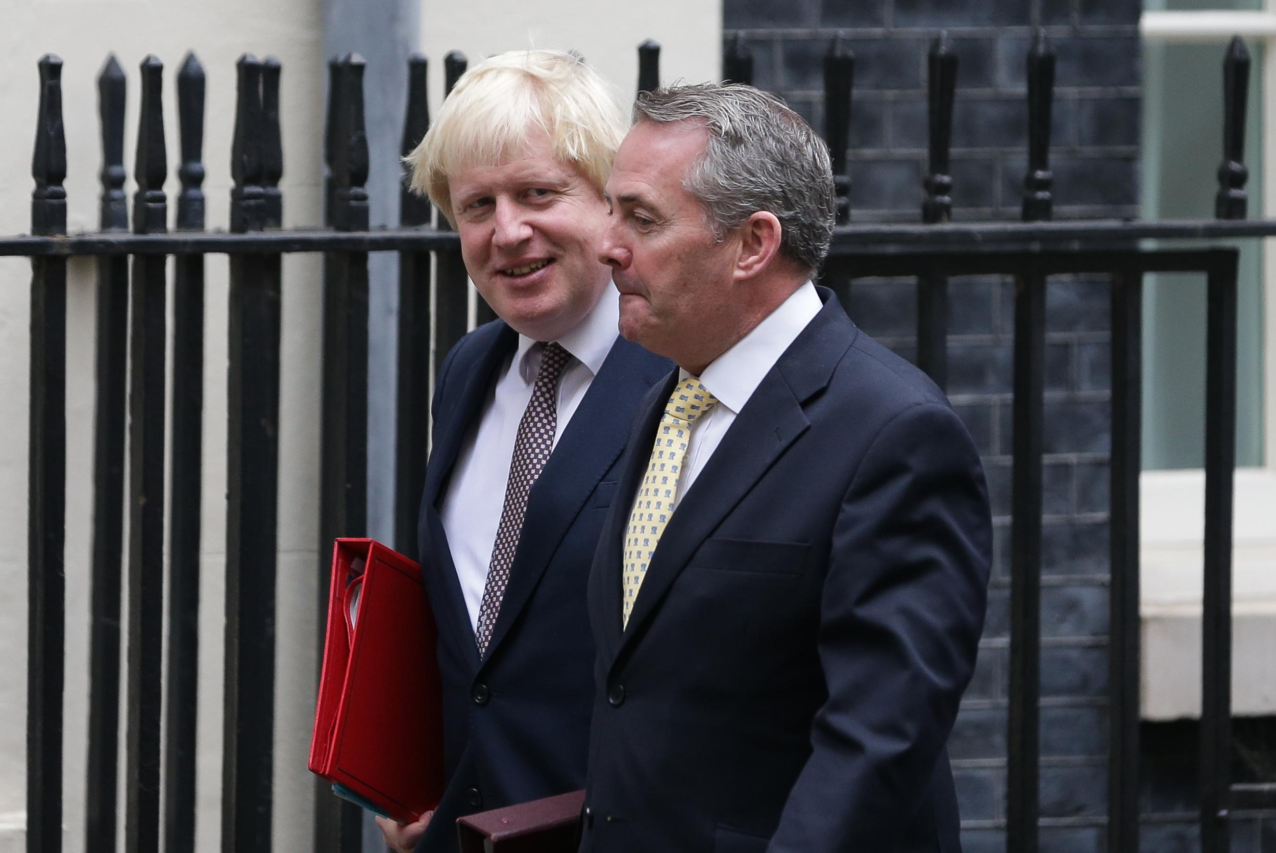 Foreign Secretary Boris Johnson and International Trade Secretary Liam Fox (pictured), as well as Brexit Secretary David Davis will meet the Norwegian foreign minister
