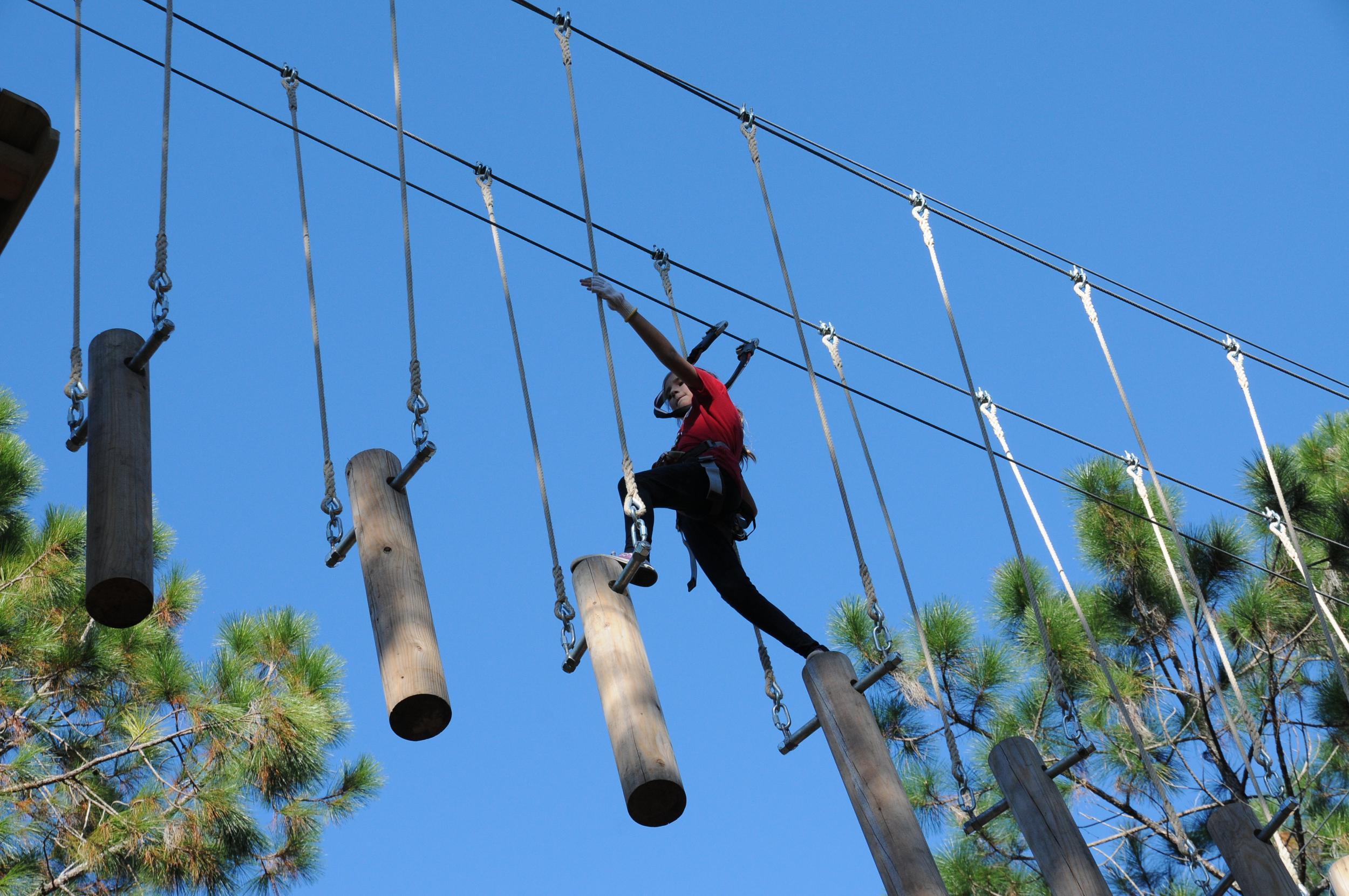 Orlando Tree Trek