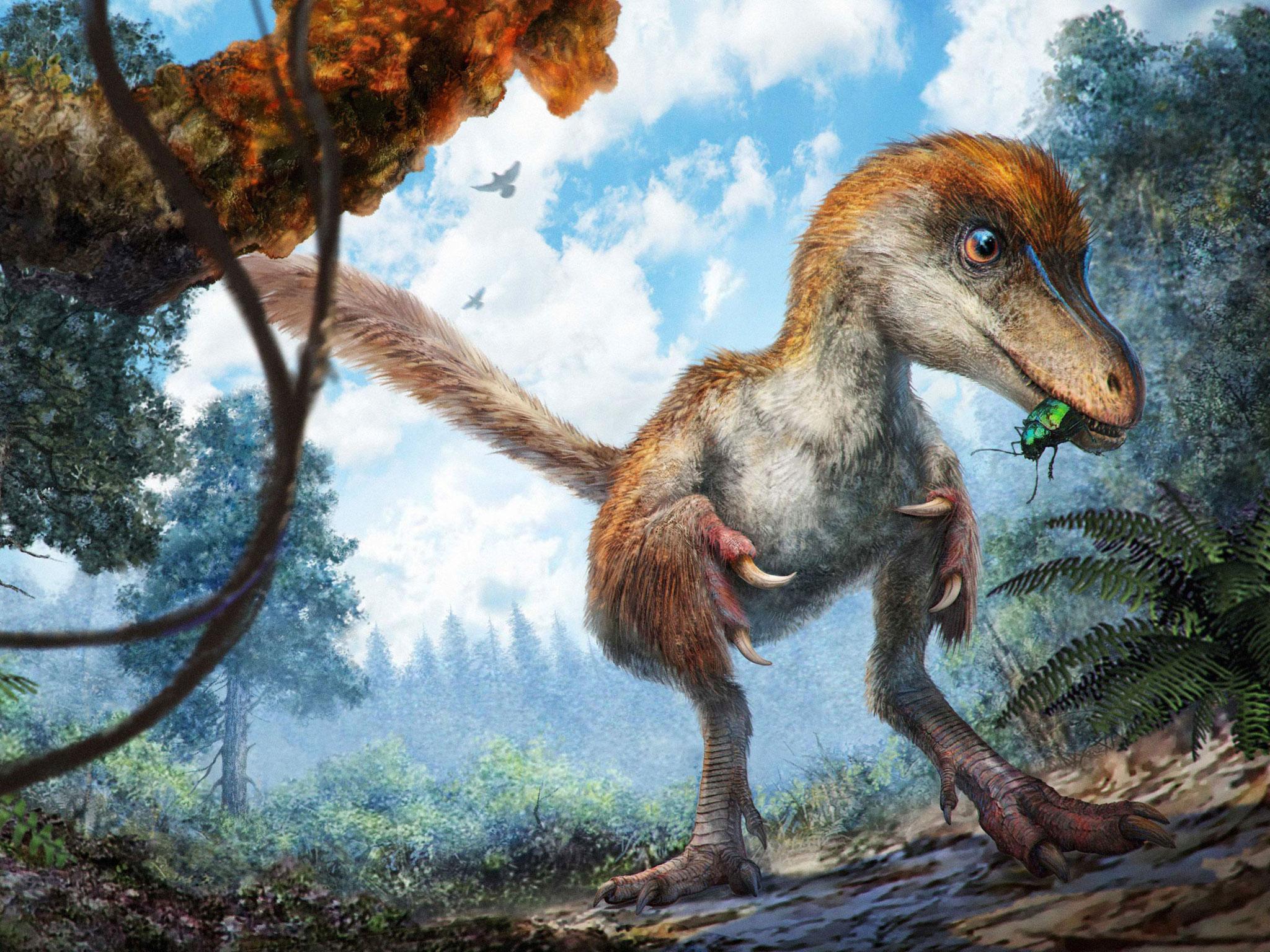 Scientists believe the tail belonged to a small juvenile cousin of Tyrannosaurus rex