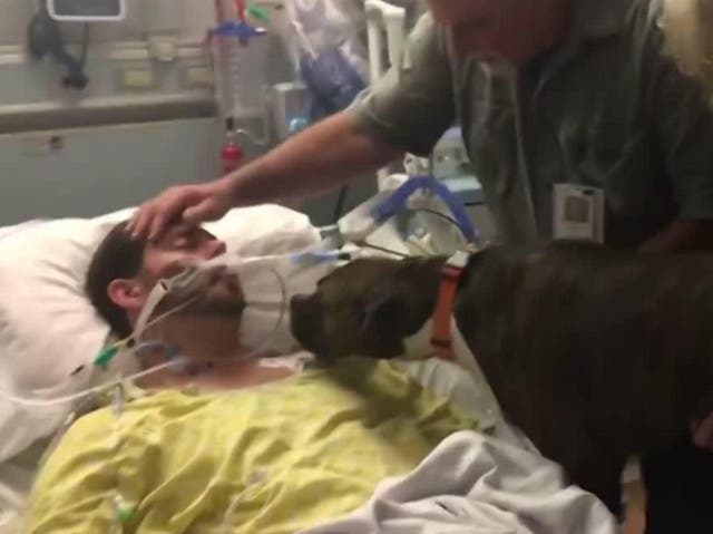Dog gives final goodbye to dying owner