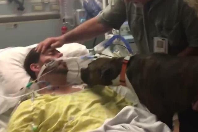 Dog gives final goodbye to dying owner