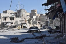 Syrian army ‘suspends Aleppo fighting’, Russia claims
