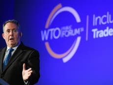 Brexit: Experts warn UK's new WTO status could be blocked by Argentina