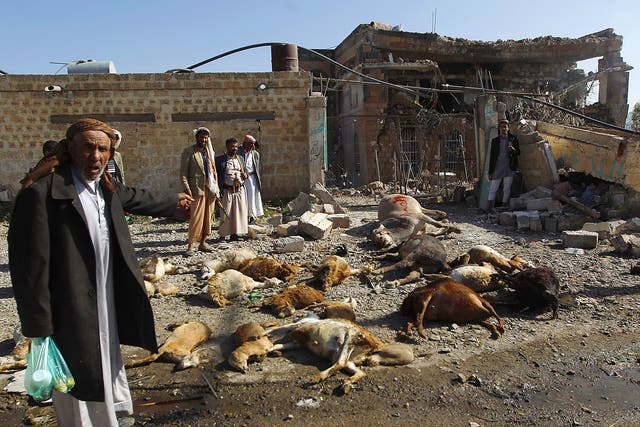 Yemenis stand near dead animals and a destroyed house following a reported airstrike by Saudi-led coalition airplanes in the capital Sanaa