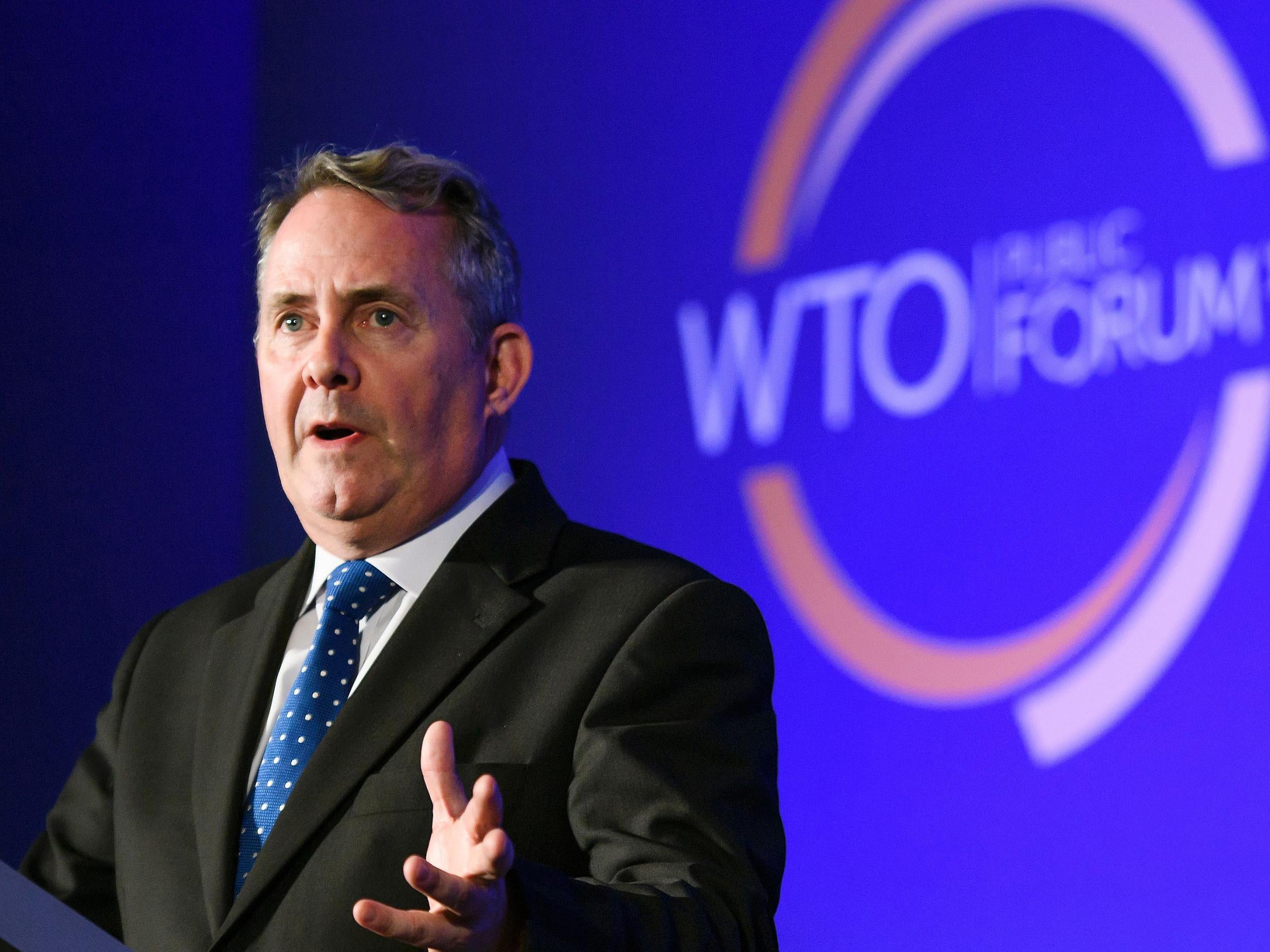 Liam Fox, among those tipped to become the new secretary-general, speaks during a session of the World Trade Organisation in September 2016