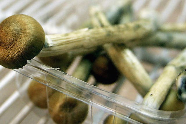 Psilocybin is the active ingredient in psychoactive mushrooms of the genus Psilocybe, referred to by some as magic mushrooms