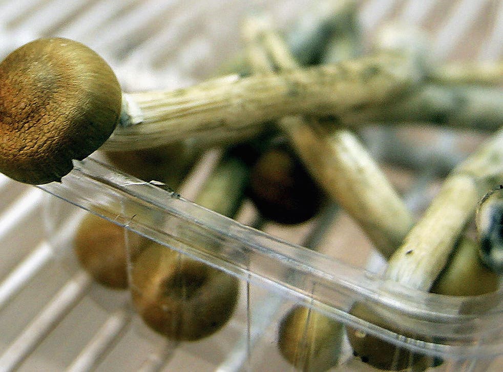 France has stopped an import of Belarus mushrooms contaminated with radioactive material