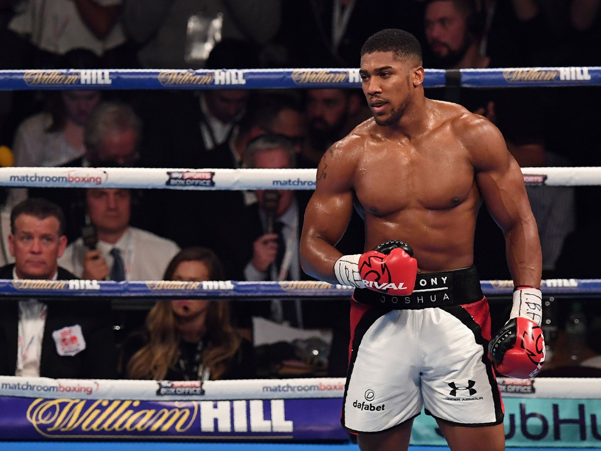 "Joshua is the most exciting prospect in world boxing, the most marketable fighter in the world and he can really fight"