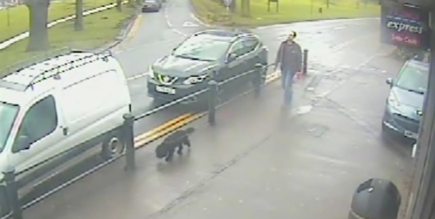 Darren Byrne was captured on CCTV walking his dog after killing his wife
