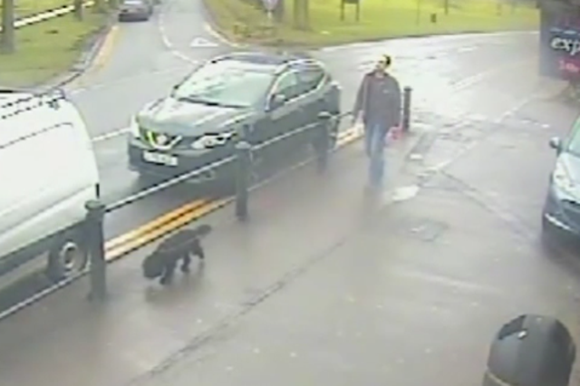 Darren Byrne was captured on CCTV walking his dog after killing his wife