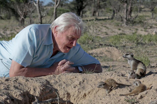 At age 92, Attenborough continues to push boundaries