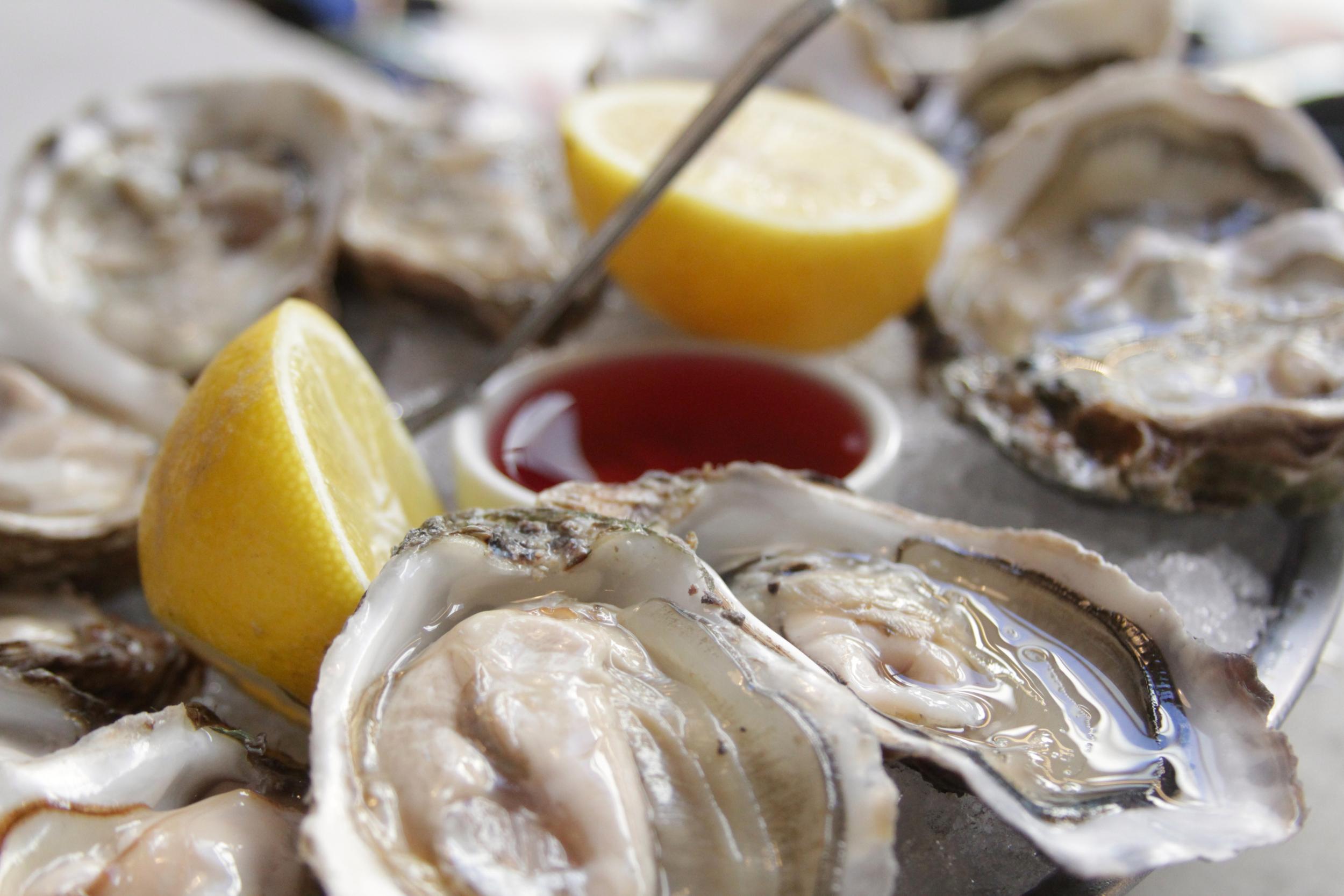 Fresh oysters are said to be increasingly popular with a younger crowd