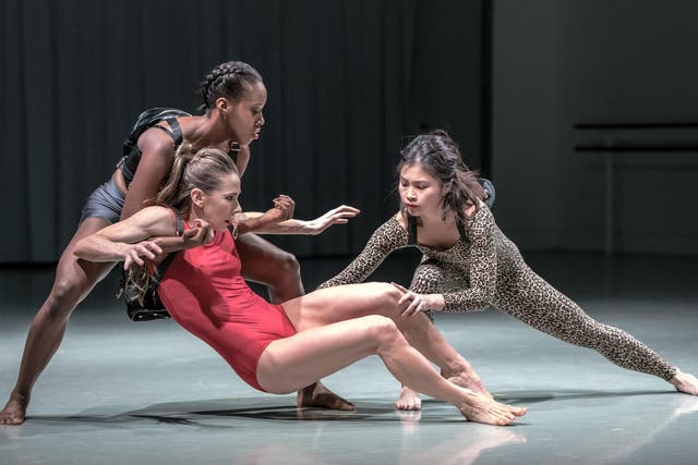 Dancers perform Stephen Quildan's 'Allow' from Rambert's 'In the Making'