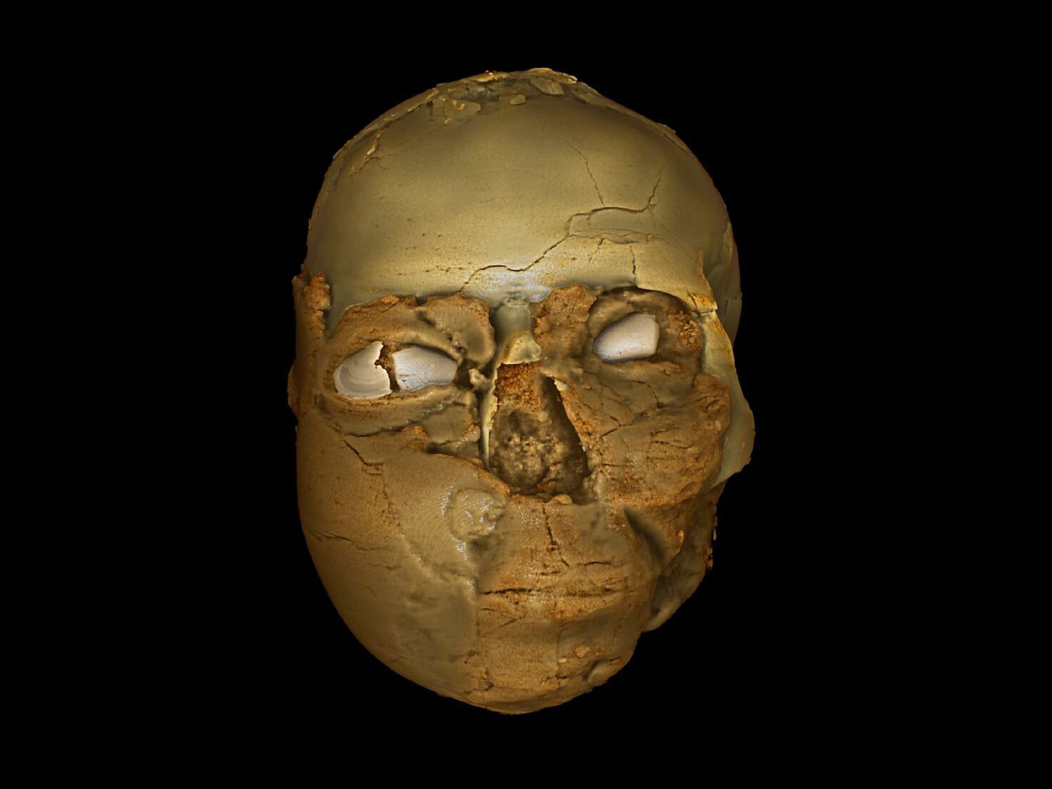 New images created by CT scans made it possible to look beneath the surface of the skull