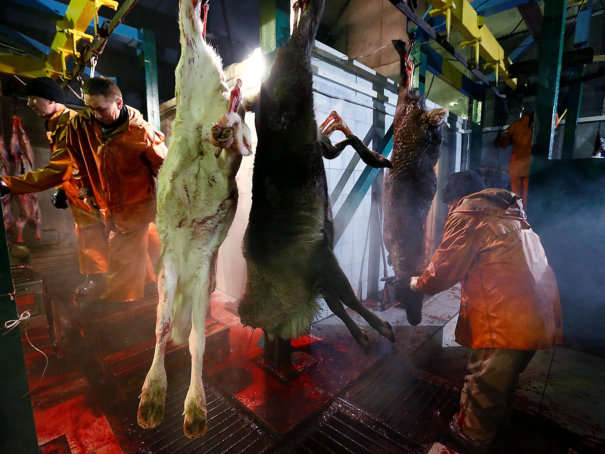 Farm employees process the carcasses