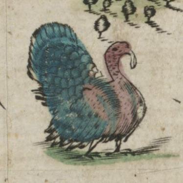 Turkey illustration from John Sellers’ ‘A Mapp of New England’ (1675)