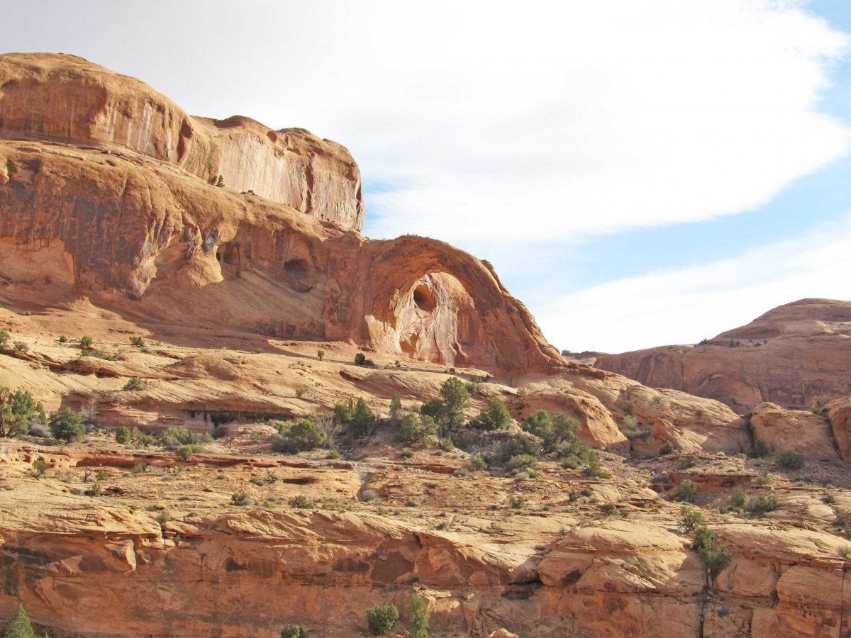 poison-spider-mesa-trail-moab-utah.jpg, by Kiara Keane